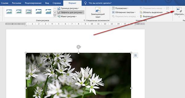 FAQ по Microsoft Word (Ответы на популярные вопросы)